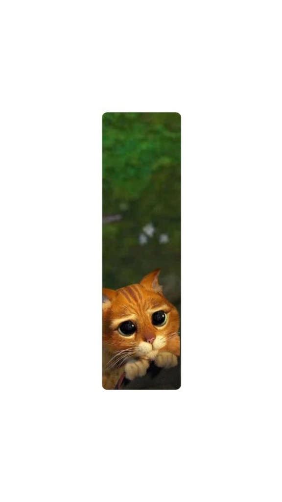 Magnētiskā grāmatzīme "PUSS IN BOOTS"